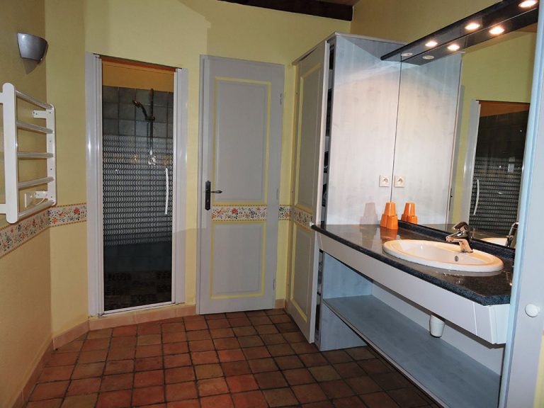 Gîte la Grande Sourcière - Salle de bain 2