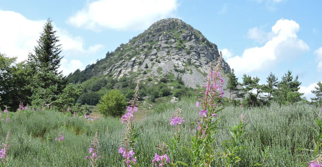 Mont Gerbier de Jonc