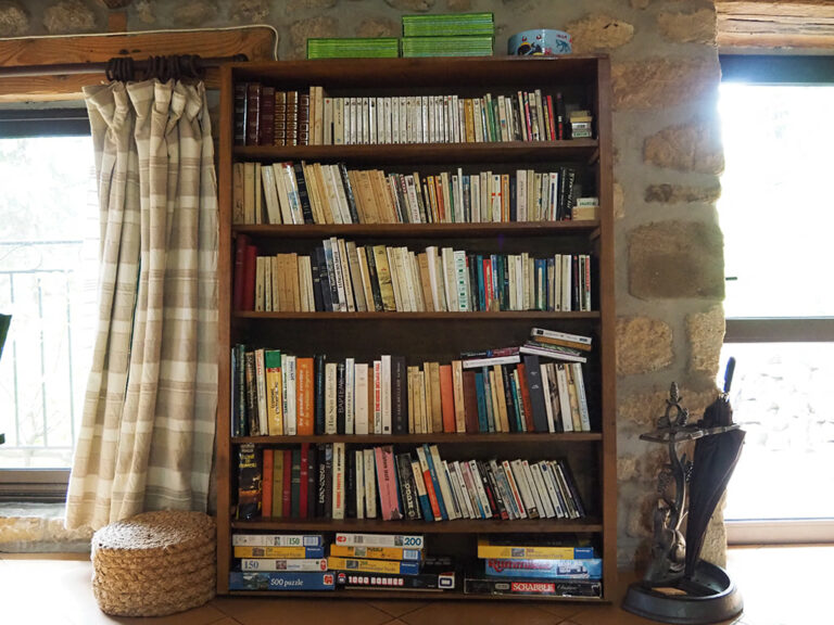 Gite-la-Bergerie-Hameau-de-la-Sourciere-Suite-Soleil-Bibliotheque