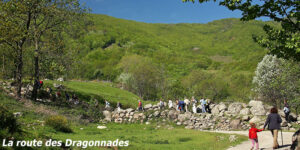 La Route des Dragonnades copie