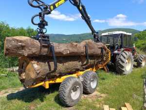 Production de bois en Ardèche