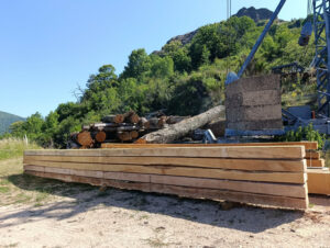 Production de bois en Ardèche